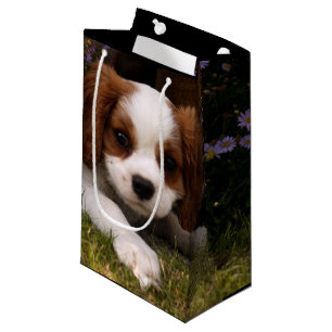 Bolsa De Regalo Pequeña Perrito arrogante del perro de aguas de rey