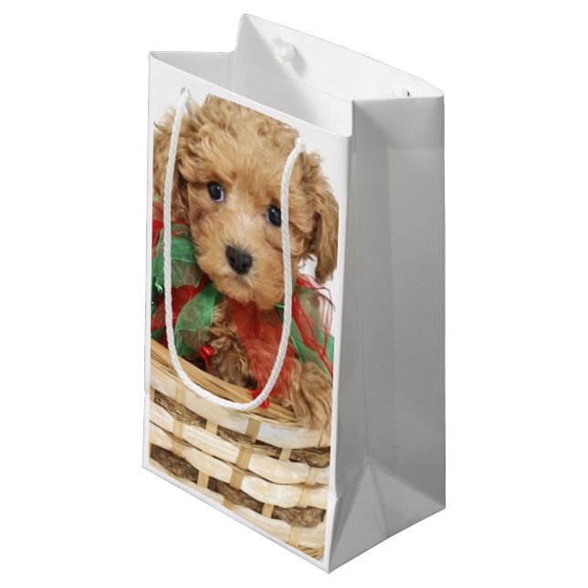 Bolsa De Regalo Pequeña Perrito del caniche que se sienta en cesta del (Angulo Anverso)