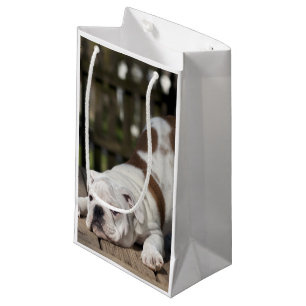 Bolsa De Regalo Pequeña Perrito inglés del bulldog