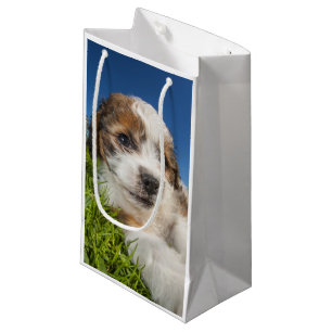 Bolsa De Regalo Pequeña Perro de perrito lindo (Shitzu)