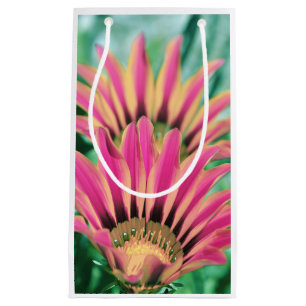 Bolsa De Regalo Pequeña Pétalos de margarita rosa caliente