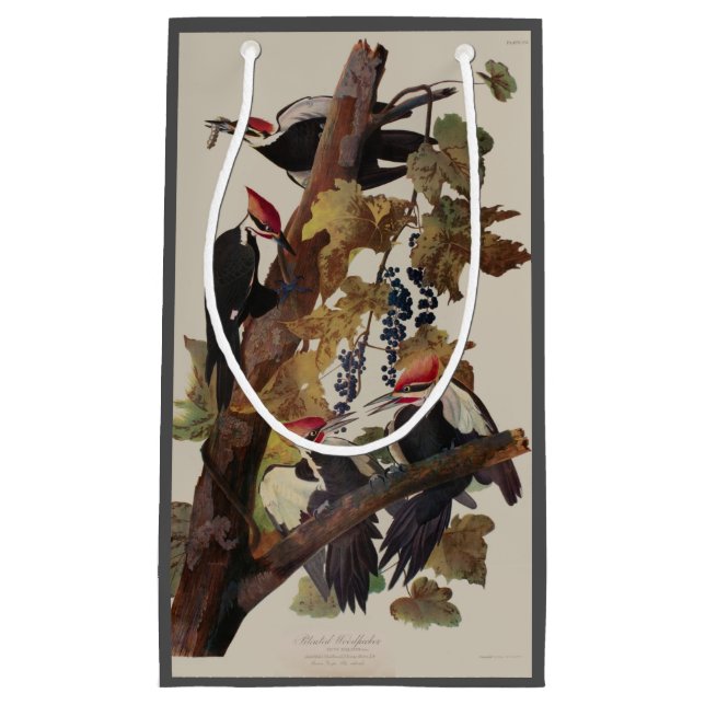 Bolsa De Regalo Pequeña Pintado de pájaro carpintero con basculante Audubo (Anverso)