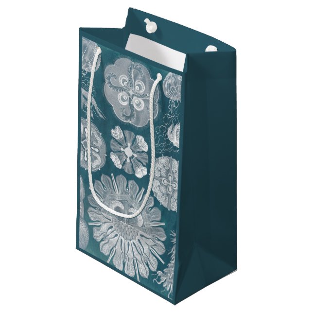 Bolsa De Regalo Pequeña Plano Azul marino IV (Angulo Anverso)