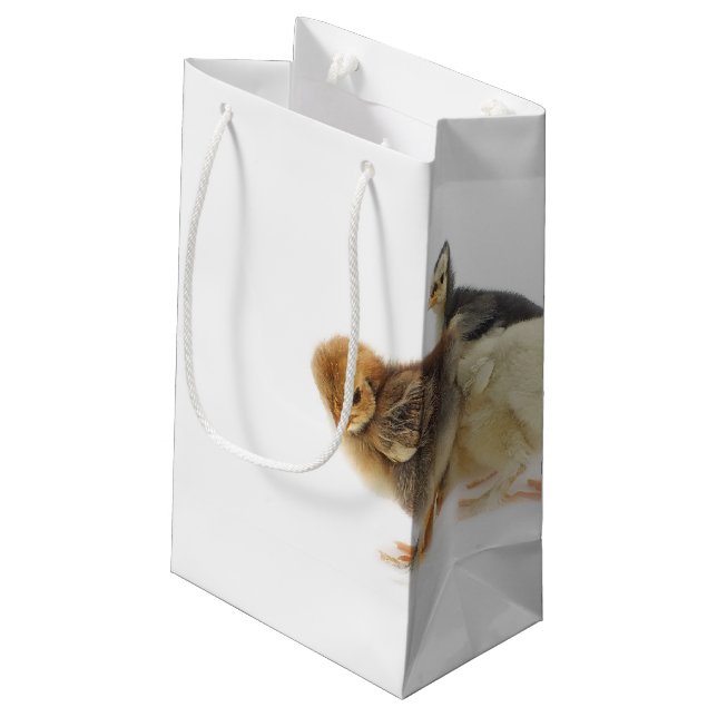 Bolsa De Regalo Pequeña pollitos esponjosos (Angulo reverso)