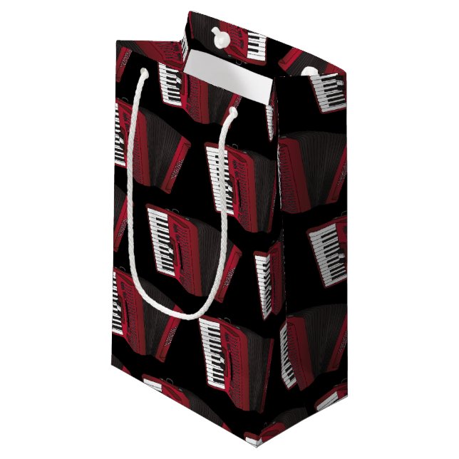 Bolsa De Regalo Pequeña Profesor de música de acordeón instrumental (Angulo Anverso)