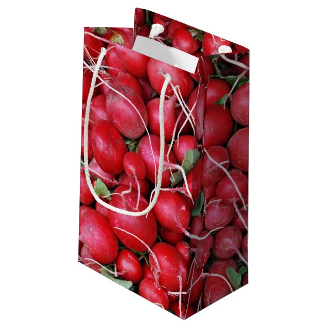Bolsa De Regalo Pequeña Radios rojos (Angulo reverso)