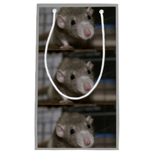 Bolsa De Regalo Pequeña Rata curiosa