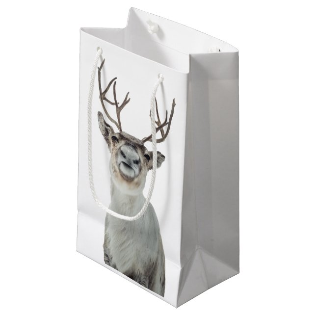 Bolsa De Regalo Pequeña Reindeer Nature Photo (Angulo Anverso)