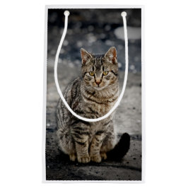 Bolsa De Regalo Pequeña Retrato de un gato