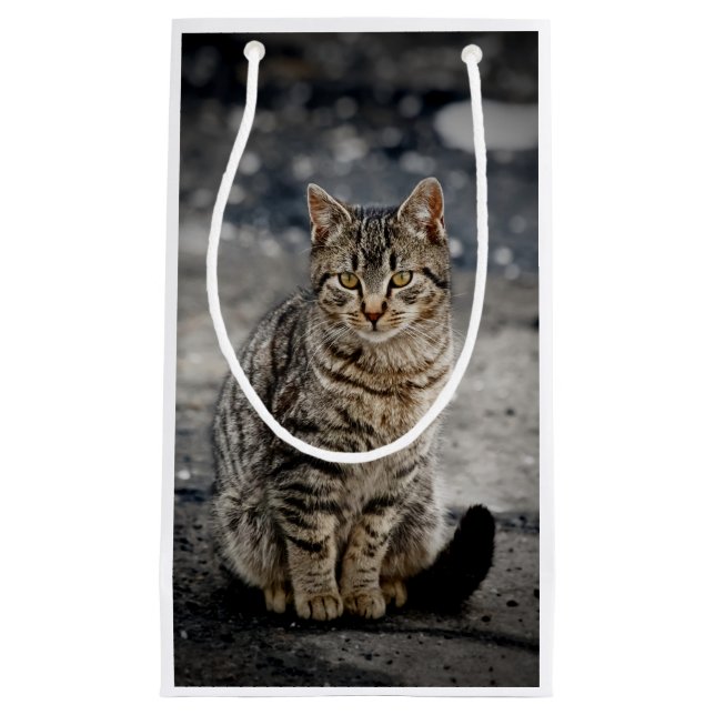 Bolsa De Regalo Pequeña Retrato de un gato (Anverso)