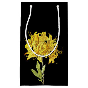 Bolsa De Regalo Pequeña Rhododendron luteum (Azalea póntica)