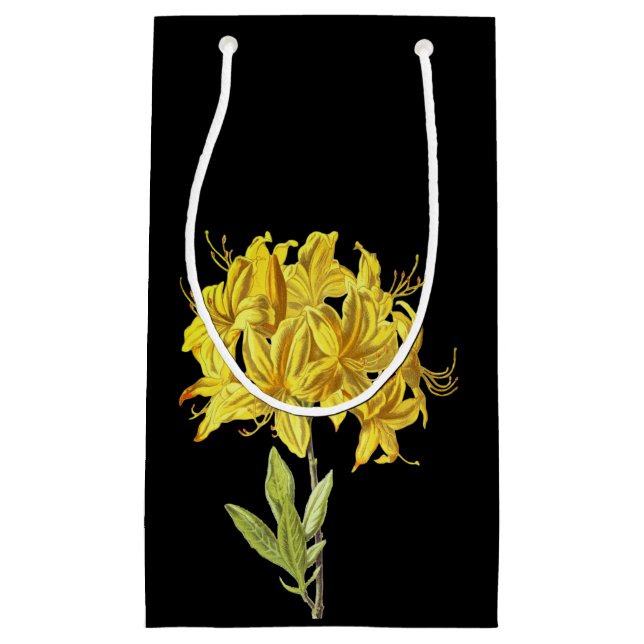 Bolsa De Regalo Pequeña Rhododendron luteum (Azalea póntica) (Anverso)