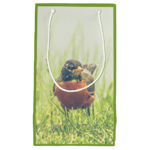Bolsa De Regalo Pequeña Robin Bird Green