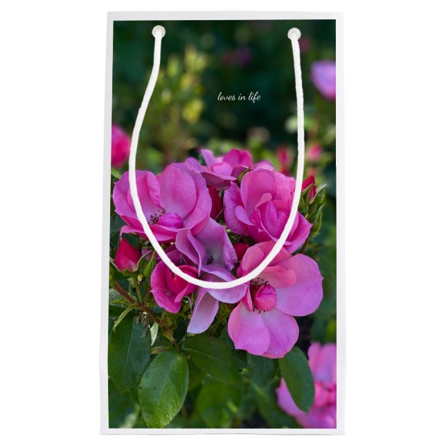 Bolsa De Regalo Pequeña Rosa rosa de lavanda (Anverso)