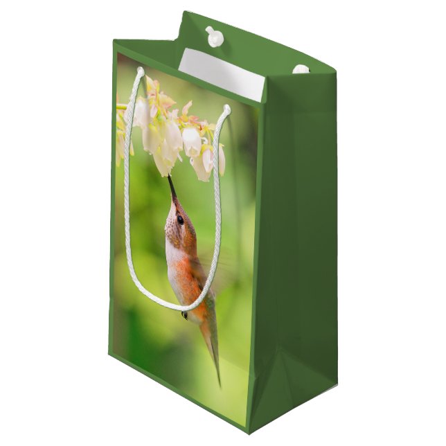 Bolsa De Regalo Pequeña Rufous Hummingbird Sips Blueberry Flower Naranja (Angulo Anverso)