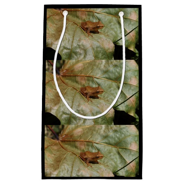 Bolsa De Regalo Pequeña Sapo minúsculo (Anverso)