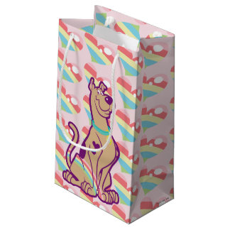 Bolsa De Regalo Pequeña Scooby-Doo arcoiris