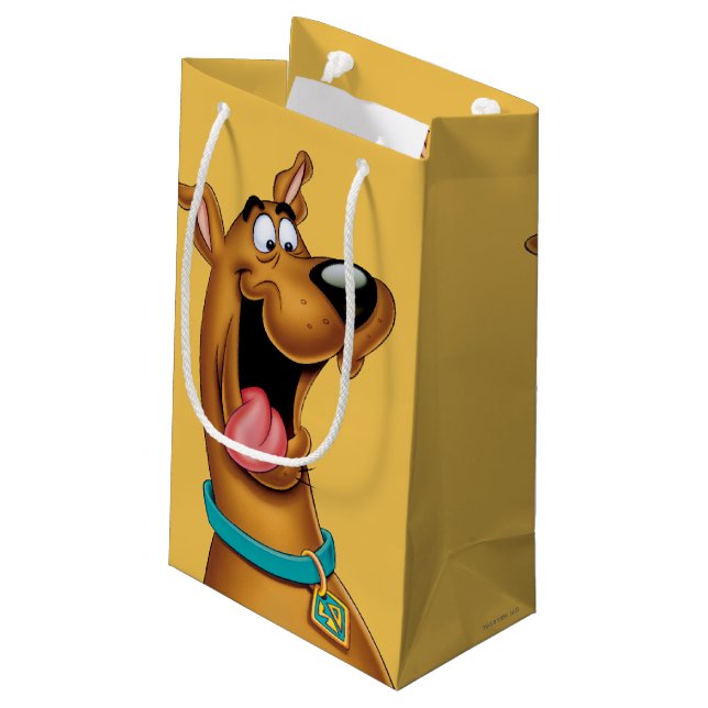 Bolsa De Regalo Pequeña Scooby-Doo excitó la cara (Angulo reverso)