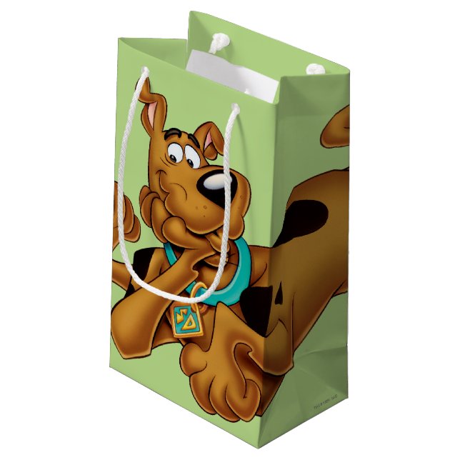 Bolsa De Regalo Pequeña Scooby-Doo mintiendo (Angulo reverso)