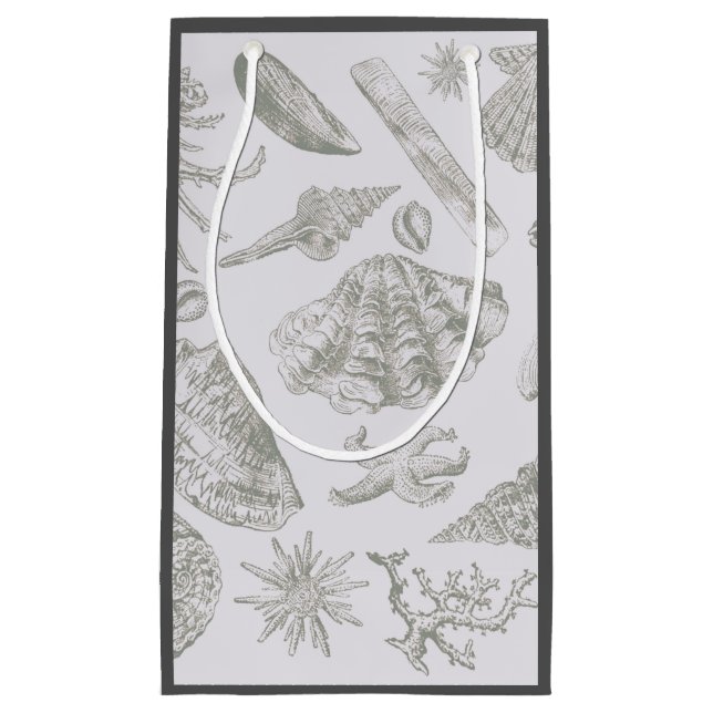 Bolsa De Regalo Pequeña Seashell Soft Antique Art Beach Shells (Anverso)