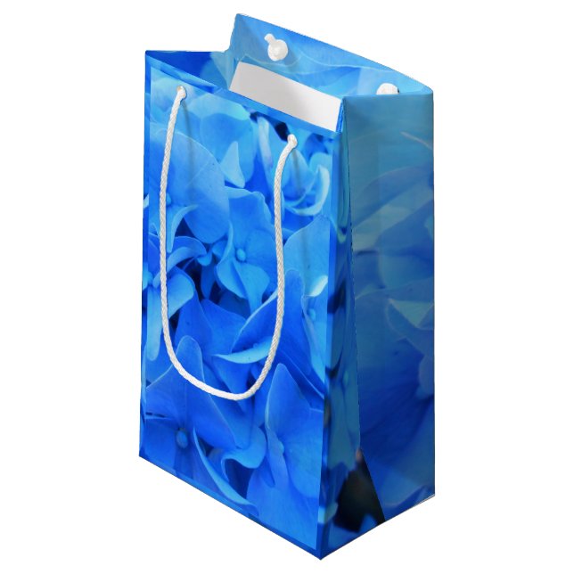 Bolsa De Regalo Pequeña Seraphine (Angulo Anverso)