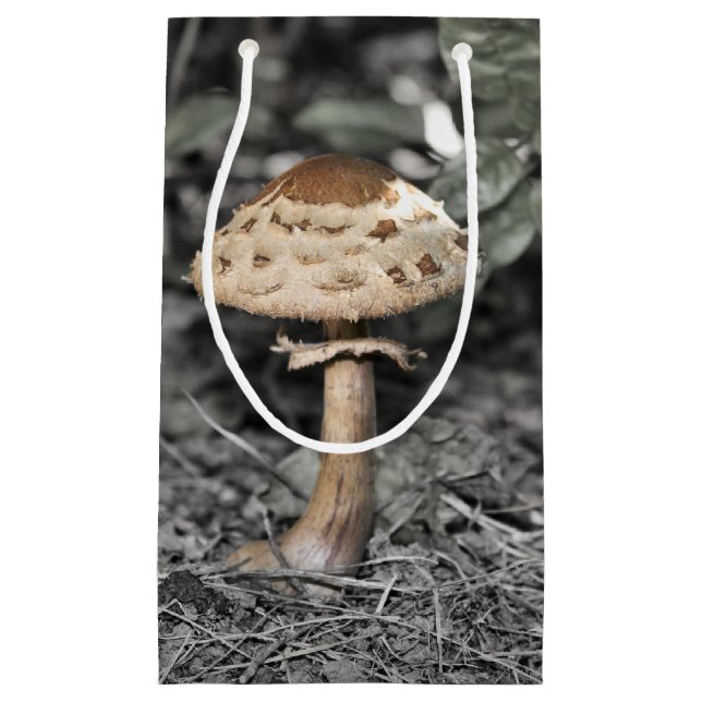 Bolsa De Regalo Pequeña Seta salvaje (Toadstool) (Anverso)