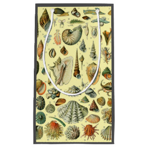 Bolsa De Regalo Pequeña Shell de conchas marinas Mollusk Clam Elegante Art
