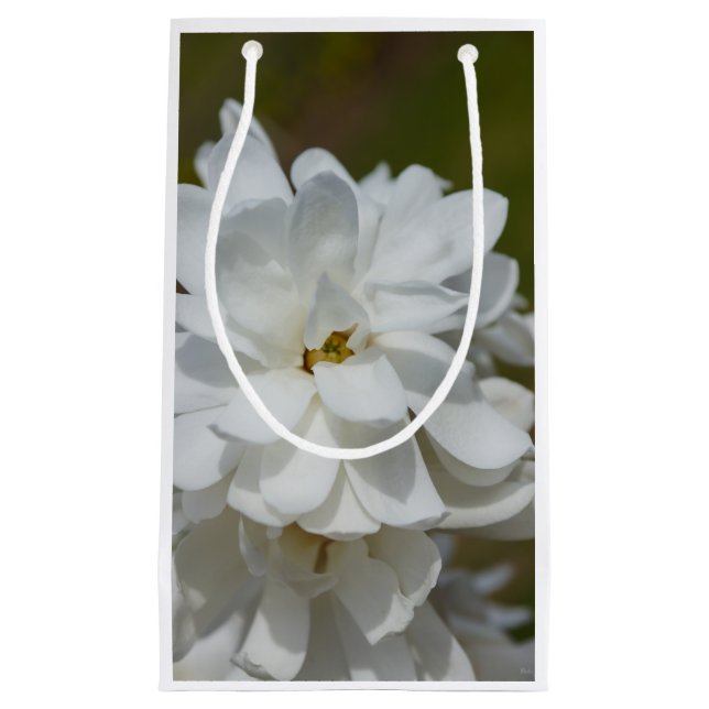 Bolsa De Regalo Pequeña Silky Magnolia (Anverso)