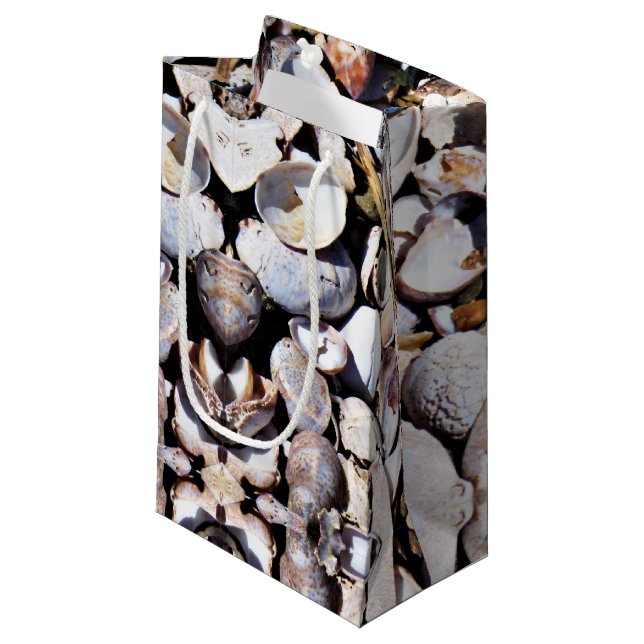 Bolsa De Regalo Pequeña Sm Gift Bag Sea Shells (Angulo Anverso)
