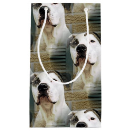 Bolsa De Regalo Pequeña T-Hueso del pitbull