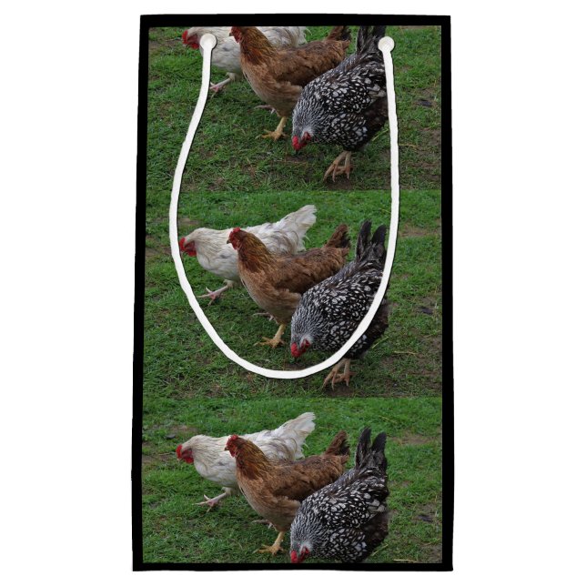 Bolsa De Regalo Pequeña Tres amigos (Anverso)