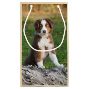 Bolsa De Regalo Pequeña Tri foto australiana roja linda del perrito del