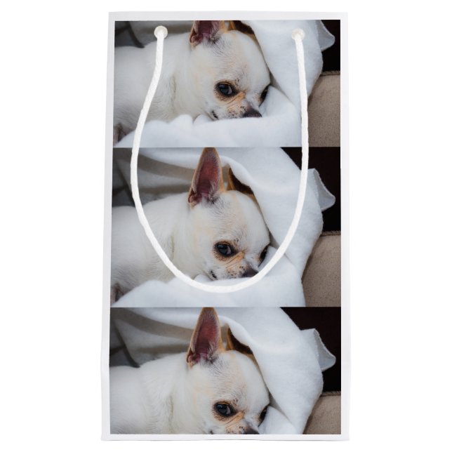 Bolsa De Regalo Pequeña Tu mascota perro cachorro personalizado foto patró (Anverso)