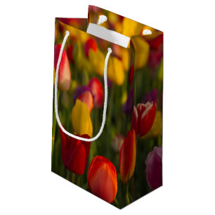 Bolsa De Regalo Pequeña Tulipanes, Festival de Tulipanes, Woodburn, Oregon