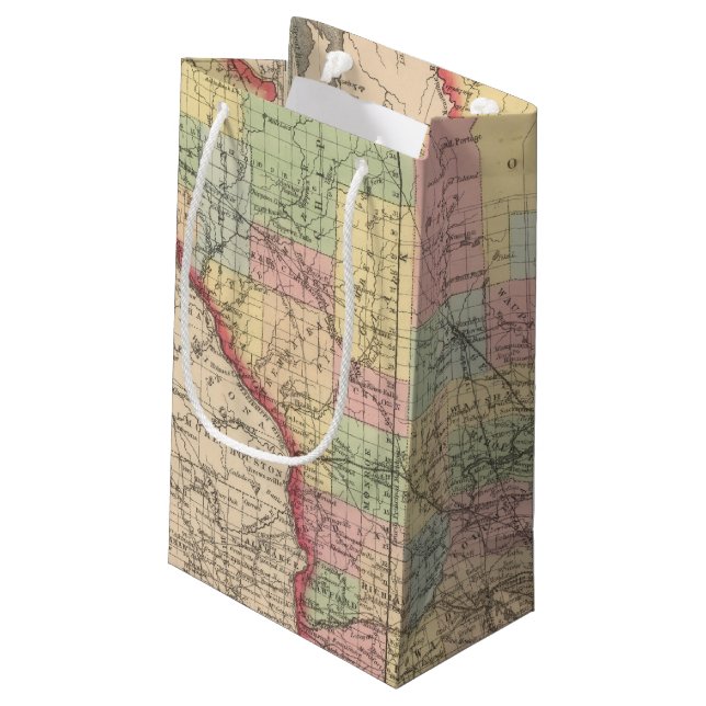 Bolsa De Regalo Pequeña Wisconsin 7 (Angulo reverso)