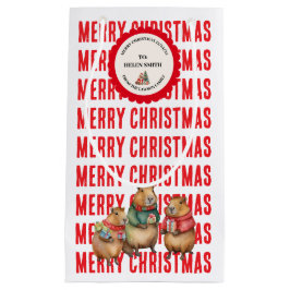 BOLSA DE REGALO PEQUEÑA XMAS GIFT BAG