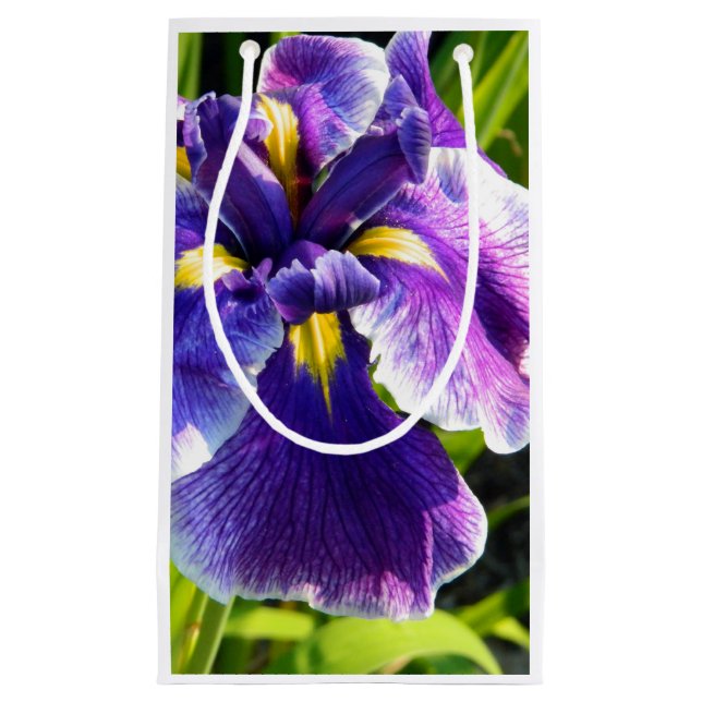 Bolsa de regalo Perfect Purple Iris (Anverso)