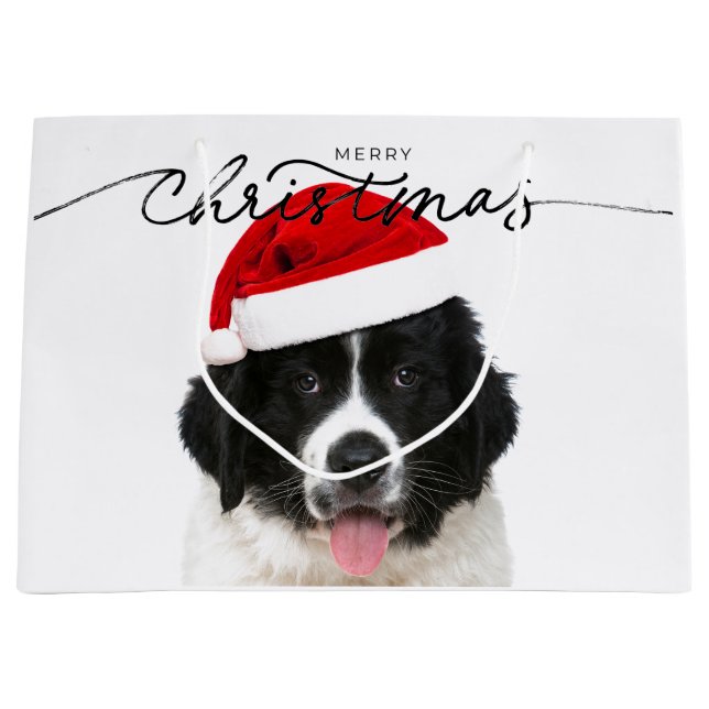 BOLSA DE REGALO ST BERNARD PUPPY CON SANTA HAT (Anverso)