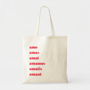 Bolsa de té latina, Amo Amas Amat, tema de los d