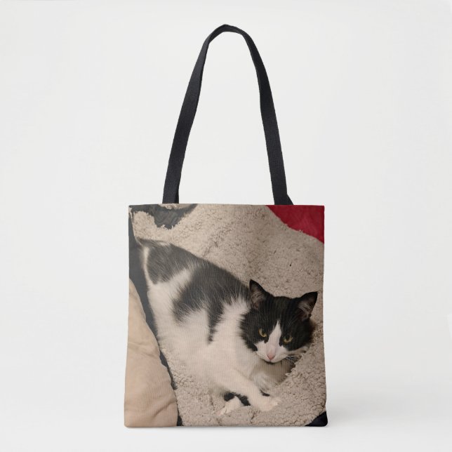 Bolsa de tetas de gato (Anverso)