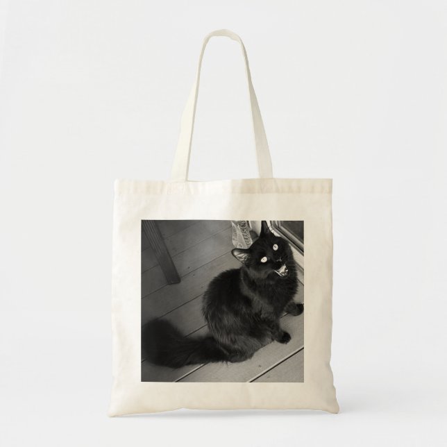 Bolsa de tetas de gato negro (Frente)
