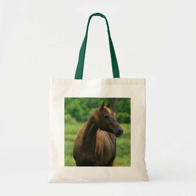 Bolsa de tocador de castaño (Frente)