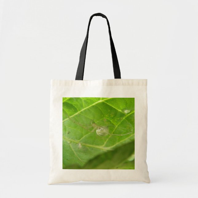 Bolsa de tocador de la araña pequeña (Frente)