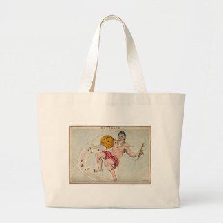 Bolsa de tocino de Aquarius