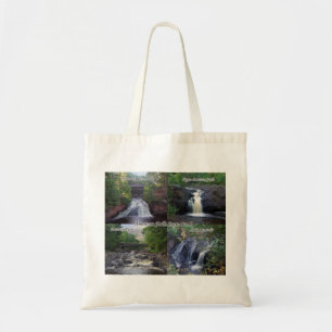 Bolsa de tocino del Parque Estatal Amnicon Falls
