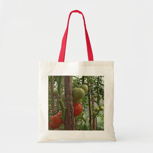 Bolsa de tomates (Frente)