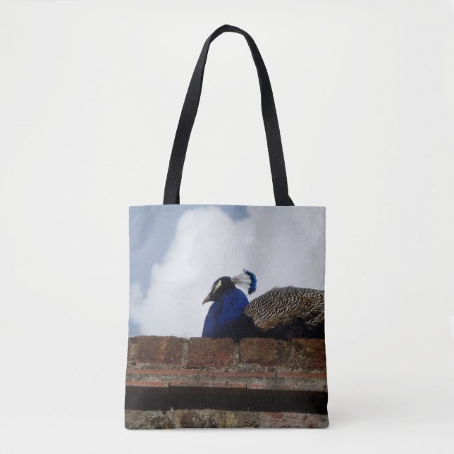 Bolsa de toques de pavo real (Anverso)