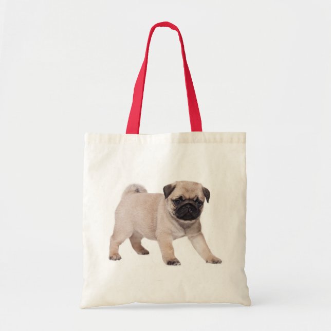 Bolsa De Tosta De Cañón De Perro De Pug (Frente)