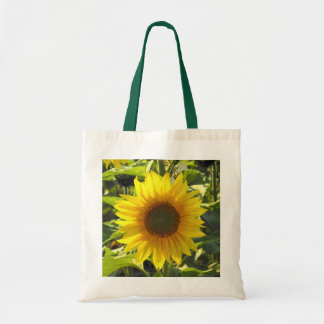 Bolsa De Tosta Sassy Sunflower