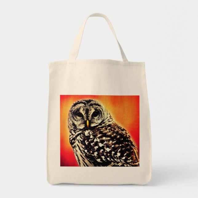 Bolsa de tote/abarrotamiento - Diseño audaz de búh (Frente)